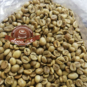 فروش قهوه سبز