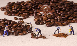 مرکز فروش قهوه