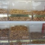 تولید باکس آجیل